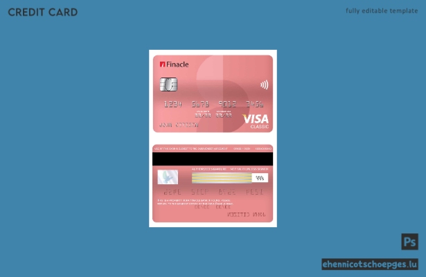 Beispielvorschau der Finacle Bank Visa Classic Karte in Indien